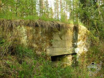 tl411